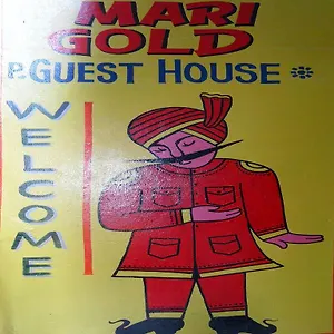 Marigold , Varanasi India